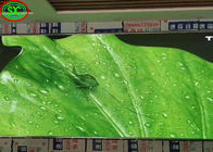 P3 LED 스크린 광고를 위한 실내 풀 컬러 발광 다이오드 표시 저녁밥 높은 정의