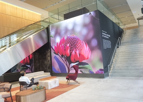다이 캐스팅 알루미늄 렌터 스크린 RGB 야외 HD 방수 LED 비디오 디스플레이, P8 풀 컬러 LED TV 벽 화면