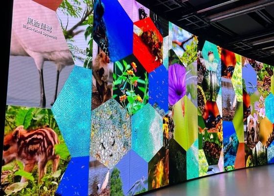 높은 안정성 P6.67 HD 모듈 LED 디스플레이, 쉽게 설치 및 유지 관리 야외 LED 광고판 LED 광고판