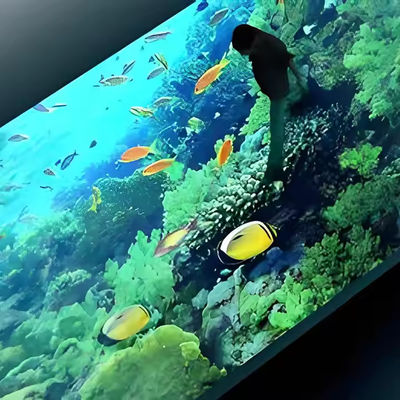 좋은 가격 RGB 컬러 발광 조명 효과의 220V 전압으로 잊을 수 없는 이벤트를 만들어 보세요. 온라인으로