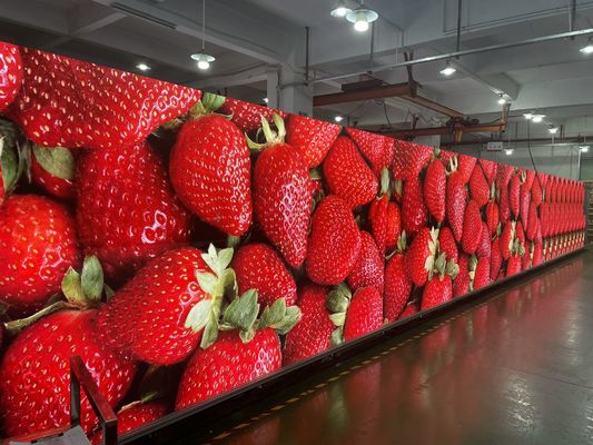 무선 P5 실내 풀 컬러 LED 디스플레이 고화질 SMD 3인1 가벼운