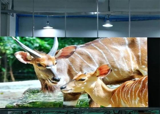 좋은 가격 P1.923 실내 풀 컬러 LED 스크린 SMD1515 잘 고정된 초 고화질 온라인으로
