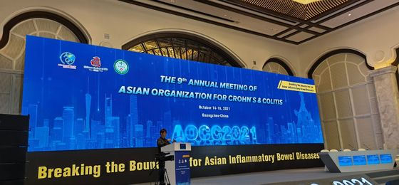 고속도로를 위한 높은 밝기 풀 컬러 P6 SMD LED 광고 화면