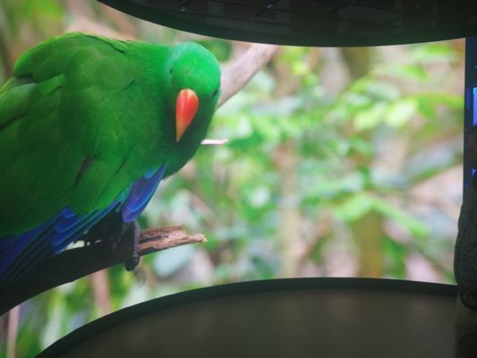 알루미늄 캐비닛 P5 고정 LED 디스플레이