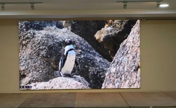 좋은 가격 1000비트 밝기 GOB LED 디스플레이 에피스타 LED 칩 및 500X500MM 캐비닛 크기로 대규모 이벤트에 적합합니다. 온라인