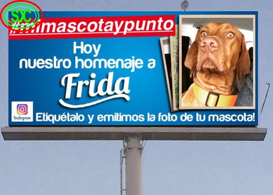 다이 캐스트 알루미늄 스크린 철 상자 / 임대 상업용 독립형 야외 풀 컬러 LED 디스플레이 거리 및 슈퍼마켓 광고